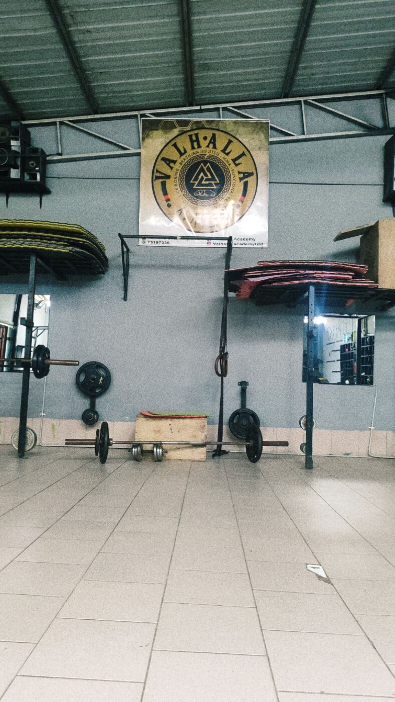 Compañeros Valhalla Academy